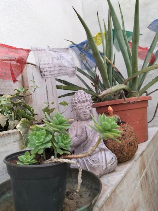 Casa Marta Appartement Cagliari Buitenkant foto